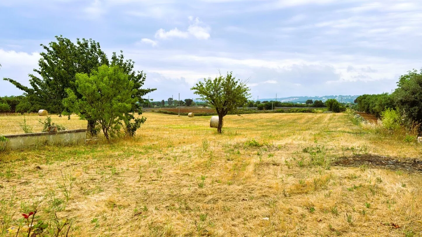 Trullo garden