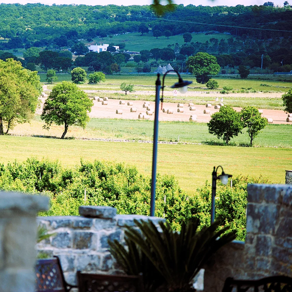 Rediscovering Puglia