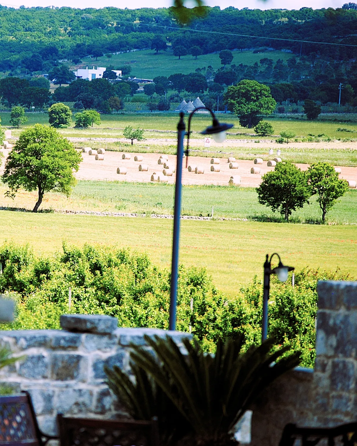 Rediscovering Puglia