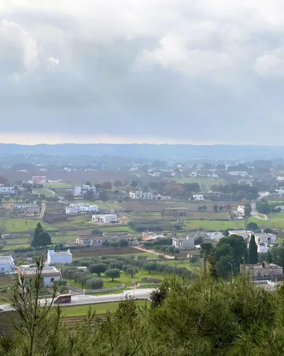 The Day of the Purchase