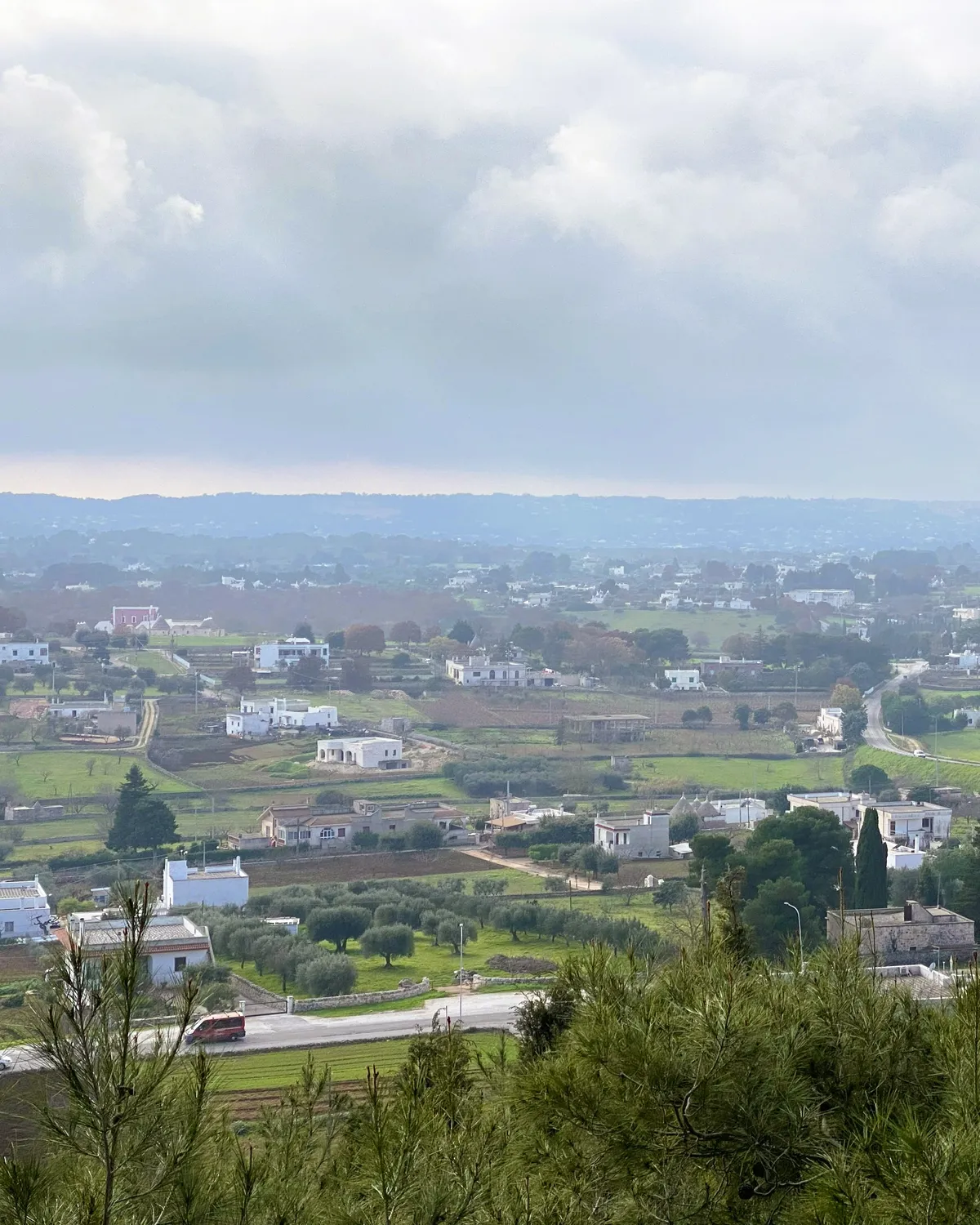 The Day of the Purchase