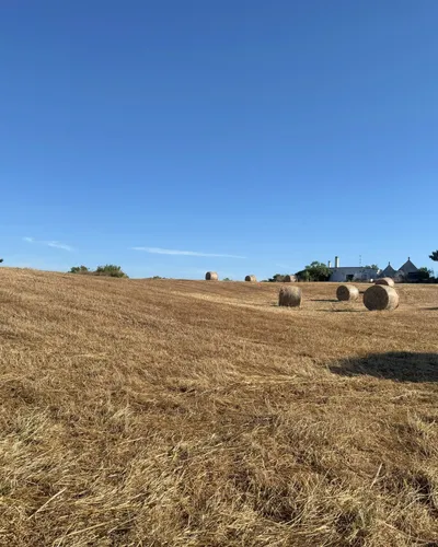 First Things First: The Permit