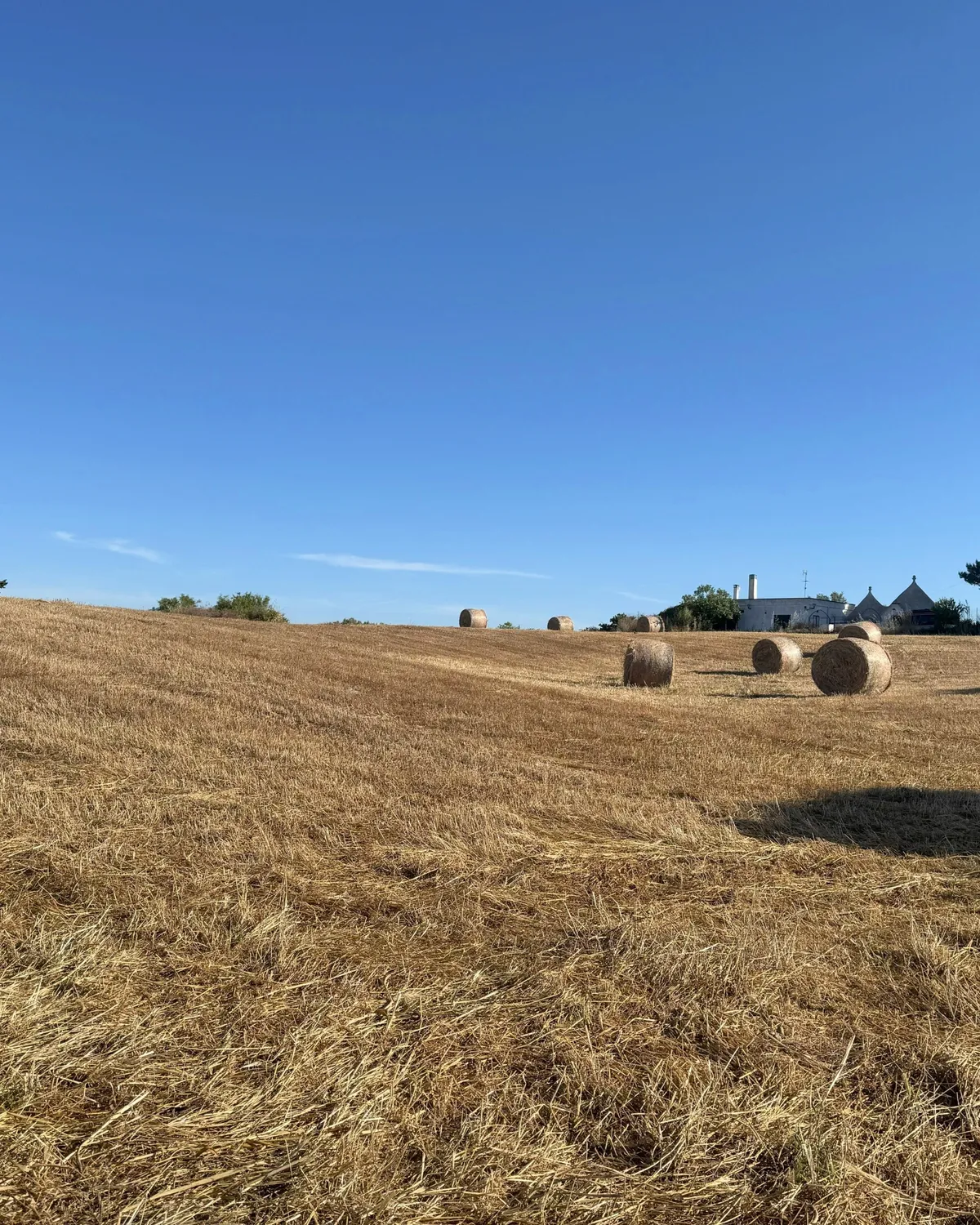 First Things First: The Permit